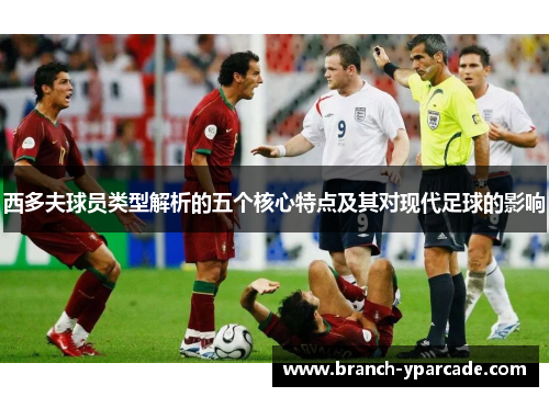西多夫球员类型解析的五个核心特点及其对现代足球的影响