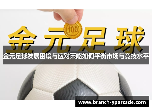 金元足球发展困境与应对策略如何平衡市场与竞技水平